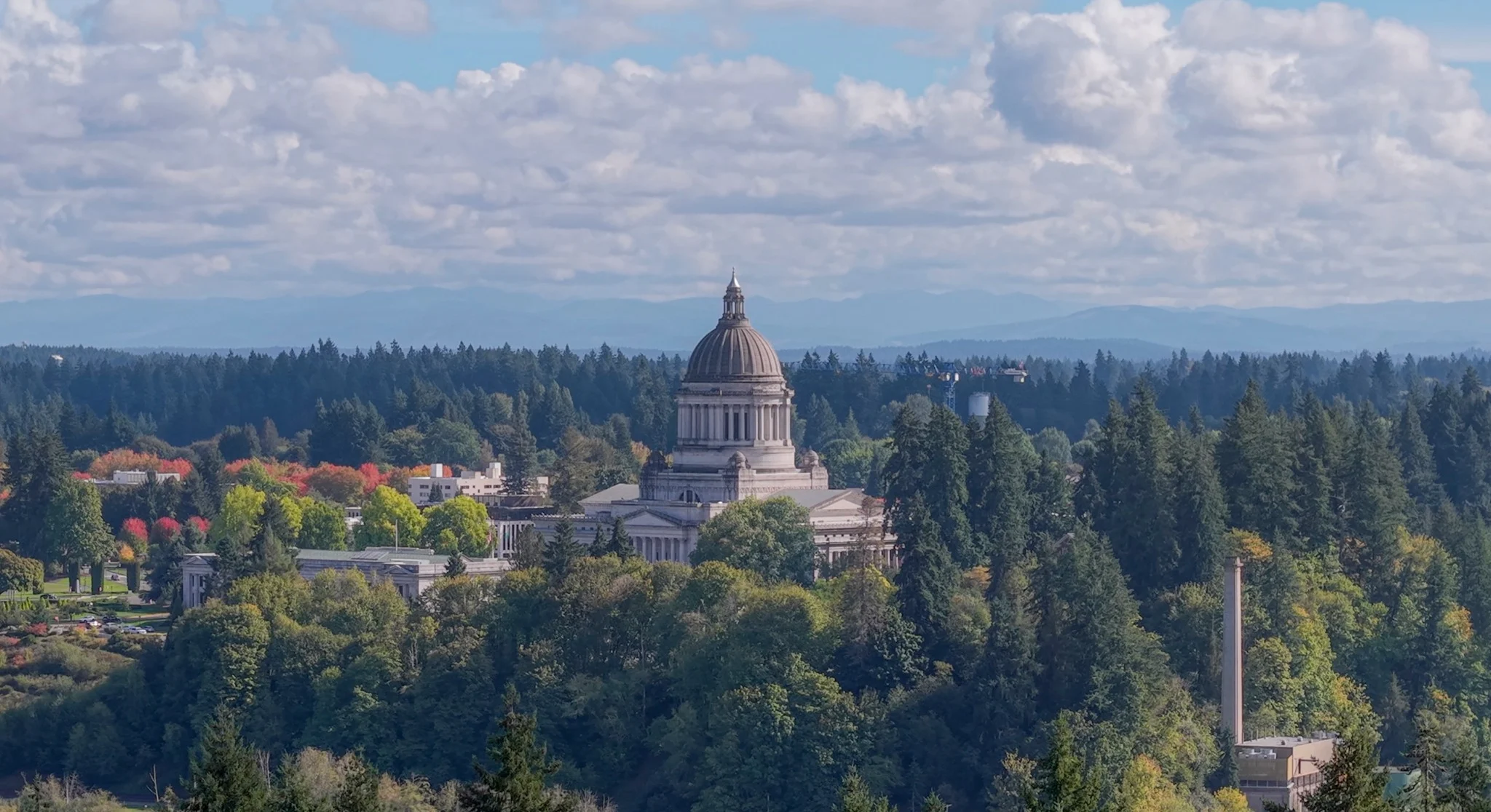 Washington State Capitol framed by Olympia neighborhoods and evergreen trees