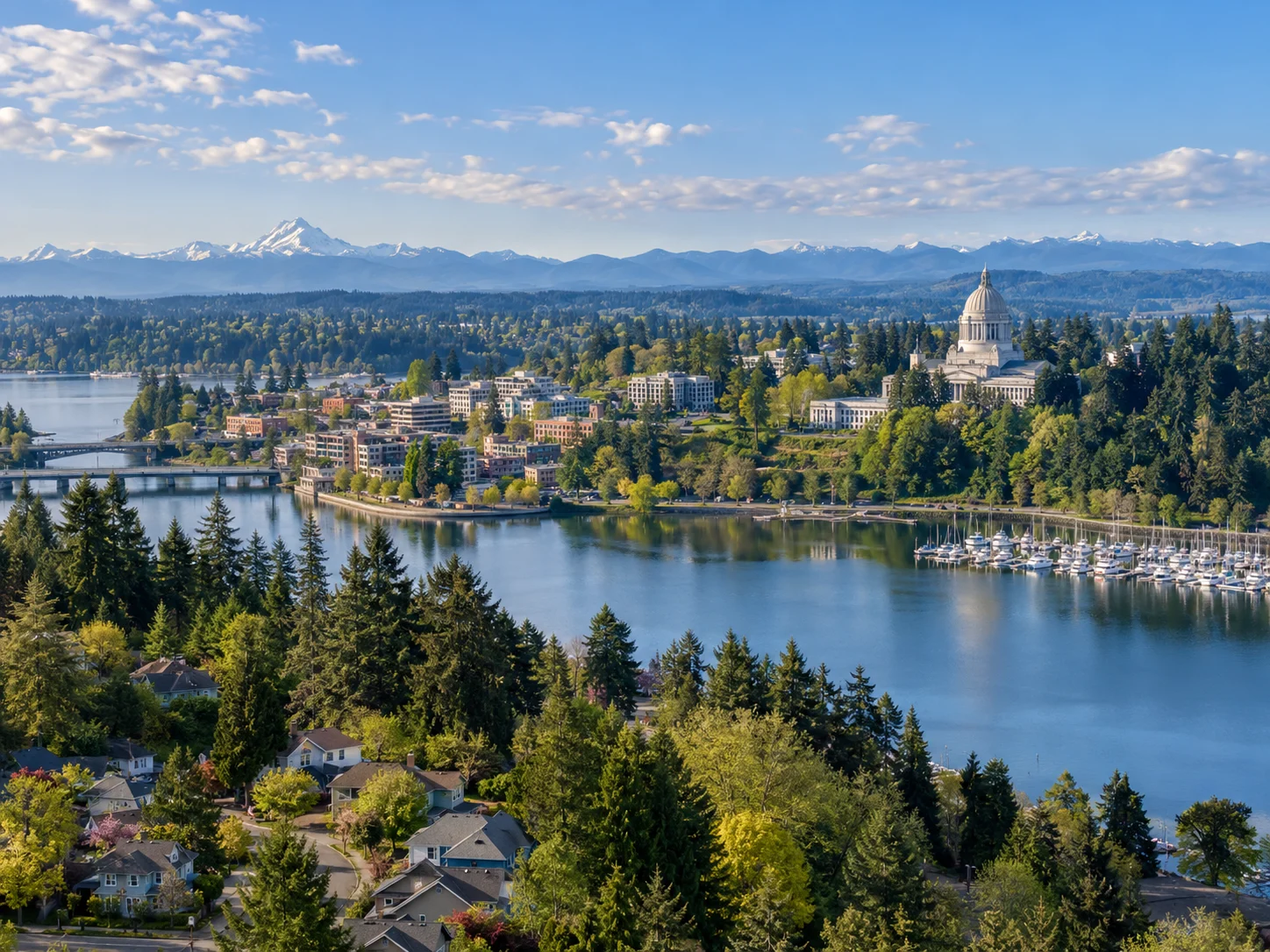 Aerial view of Thurston County featuring Olympia, the Washington State Capitol, and waterfront scenery